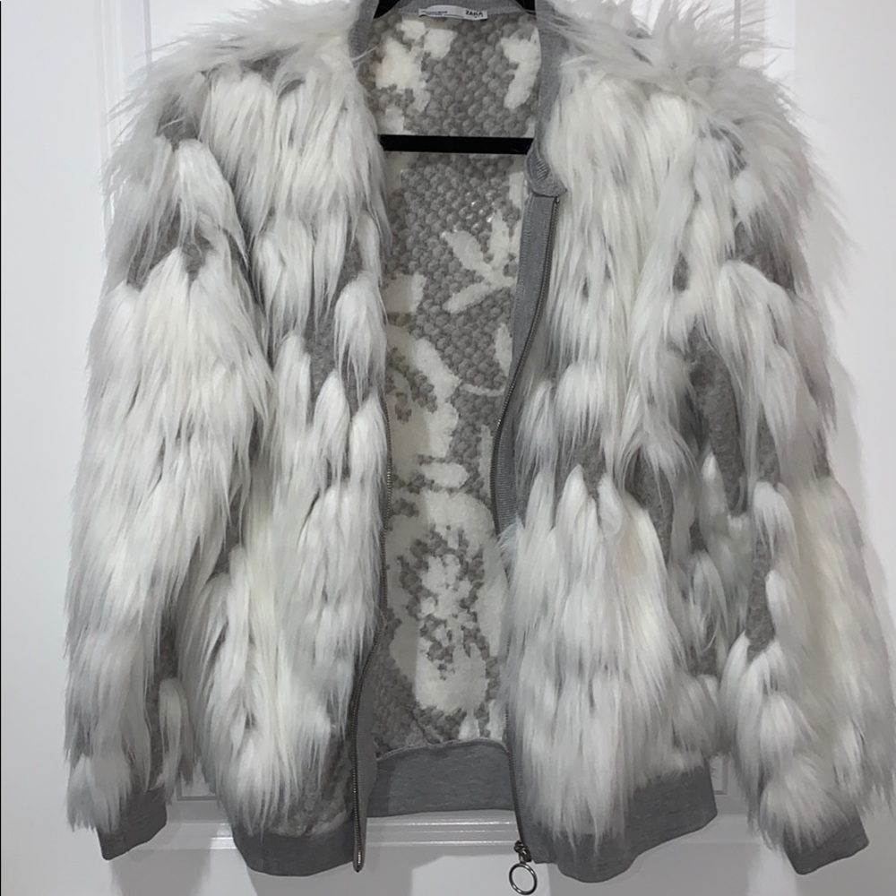 Jacket - Picture 4 of 6